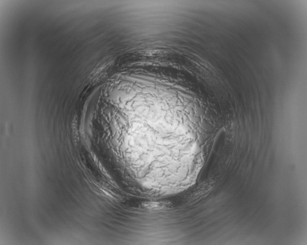 X0000054360558200508262318