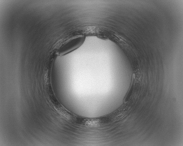 X0000054360560200508262318