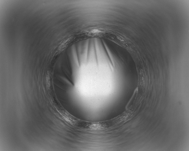 X0000054360562200508262318