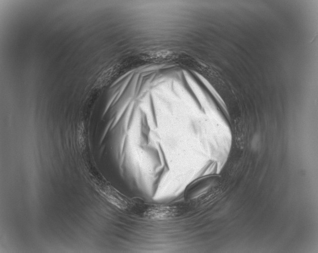 X0000054360563200508262318