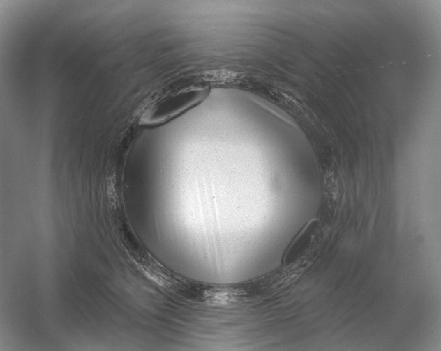 X0000054360564200508262318