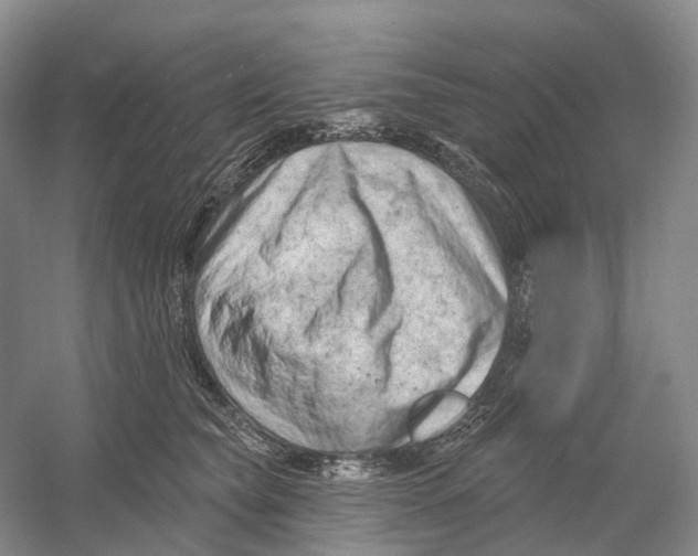 X0000054360565200508262318