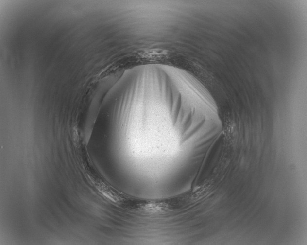 X0000054360566200508262318