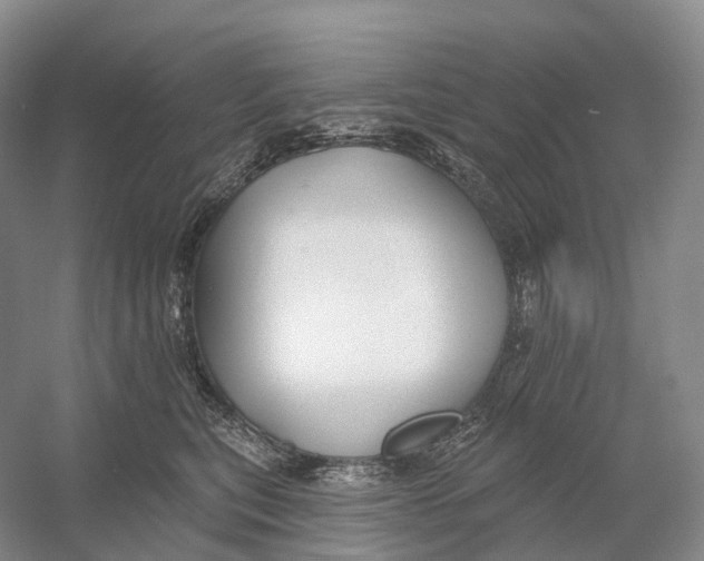 X0000054360567200508262318