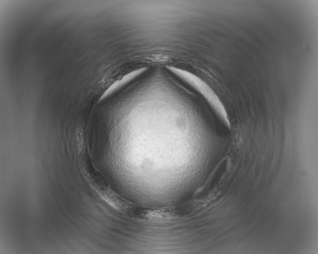 X0000054360568200508262318