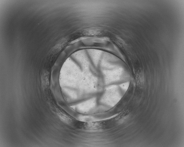 X0000054360570200508262318