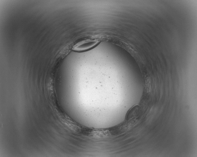 X0000054360571200508262318