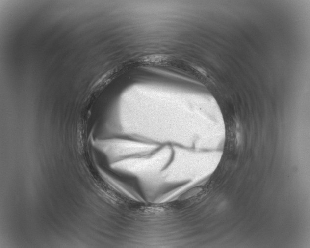 X0000054360572200508262318