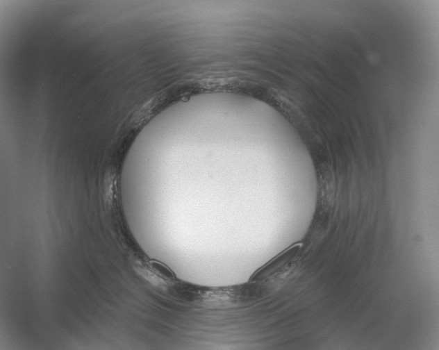 X0000054360574200508262318