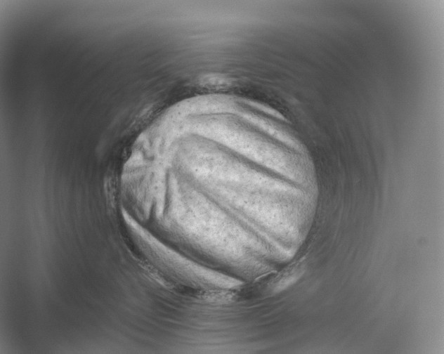 X0000054360576200508262318