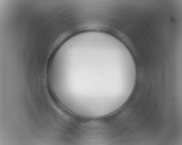 X0000054360578200508262317
