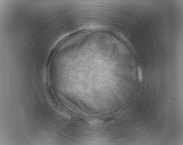 X0000054360579200508262317