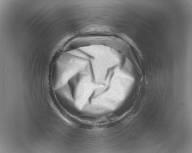 X0000054360581200508262317
