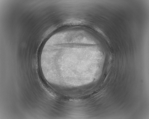 X0000054360582200508262317