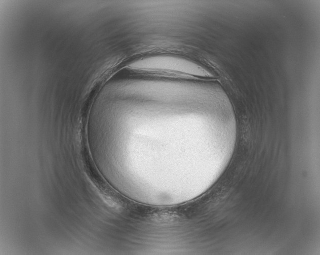 X0000054360586200508262317
