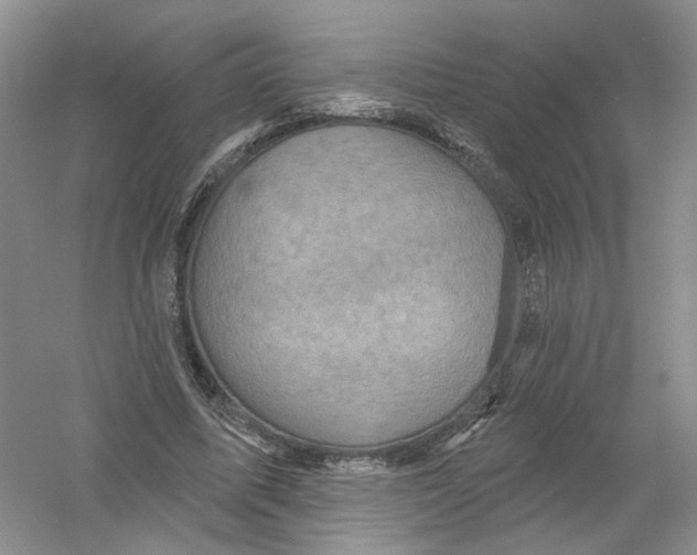 X0000054360587200508262317