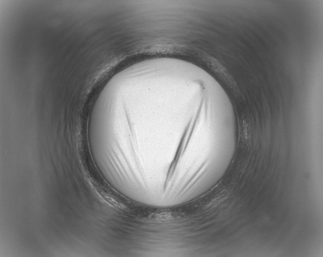 X0000054360588200508262317