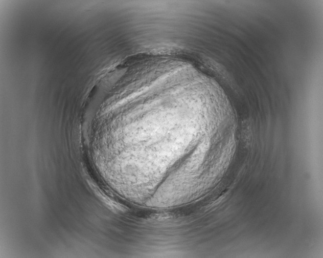 X0000054360589200508262317