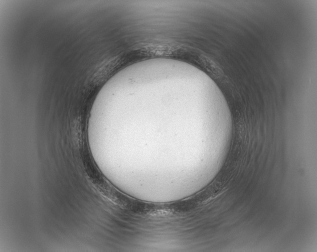 X0000054360594200508262317