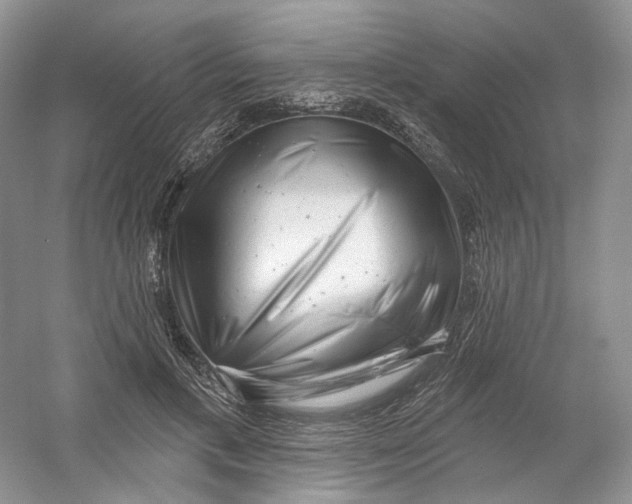 X0000054360597200508262317