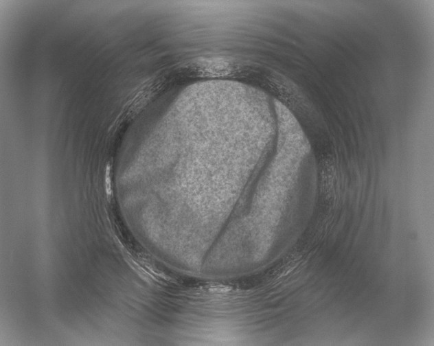 X0000054360598200508262317
