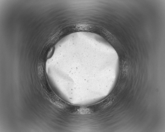 X0000054360603200508262317