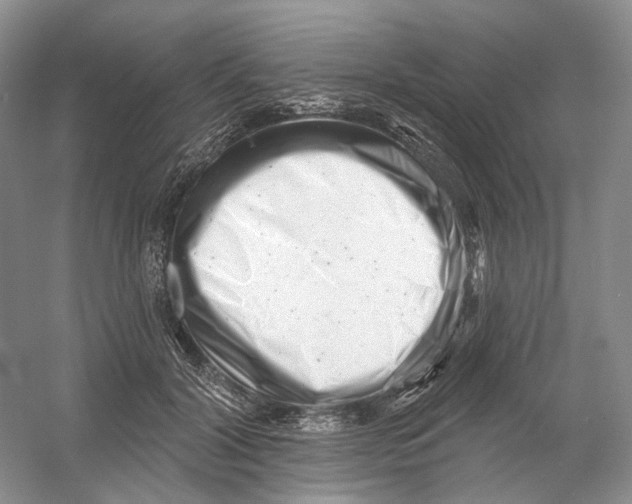 X0000054360604200508262317