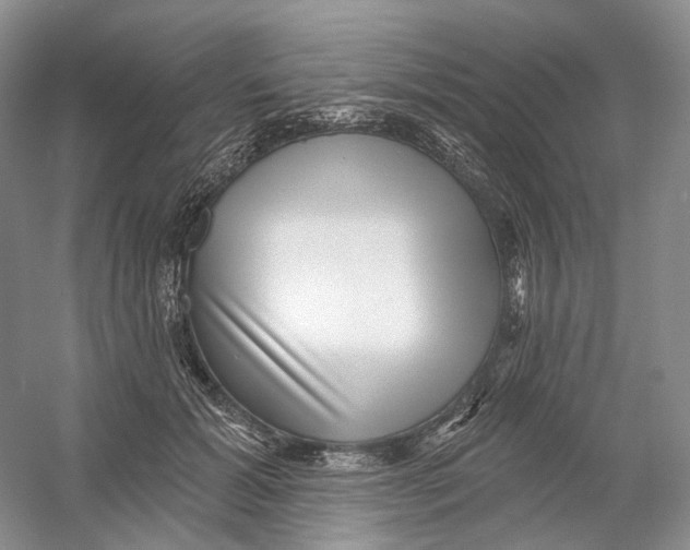 X0000054360605200508262317