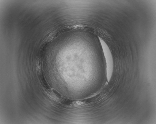X0000054360607200508262317