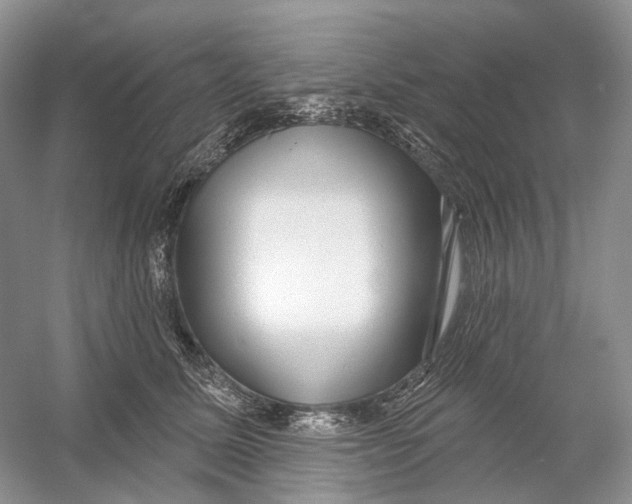 X0000054360611200508262316
