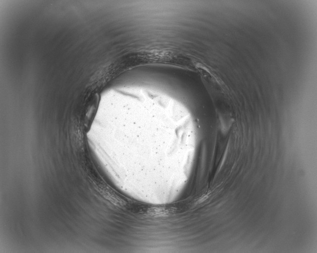 X0000054360613200508262316