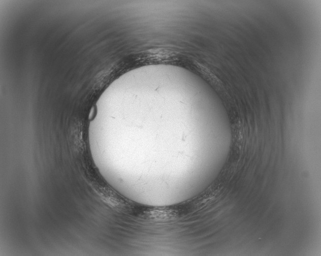 X0000054360615200508262316