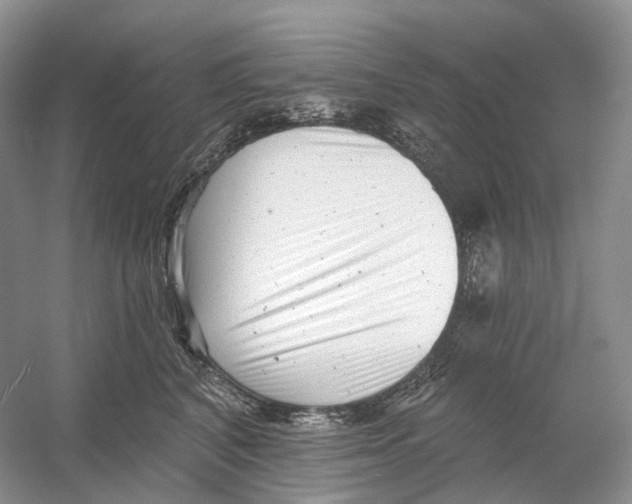 X0000054360616200508262316