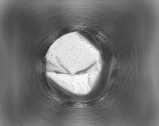 X0000054360617200508262316