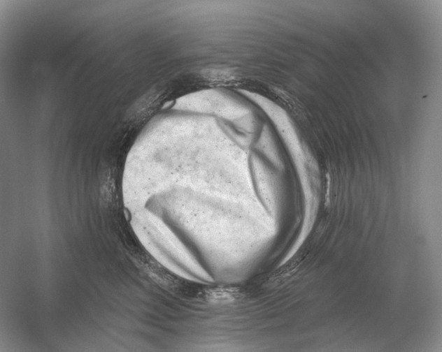 X0000054360618200508262316