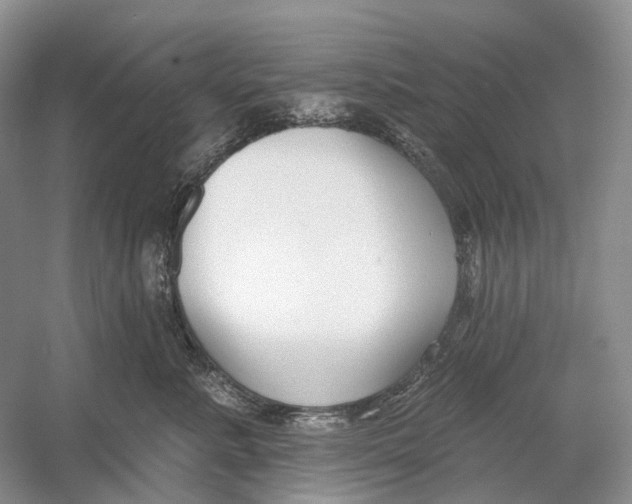 X0000054360619200508262316