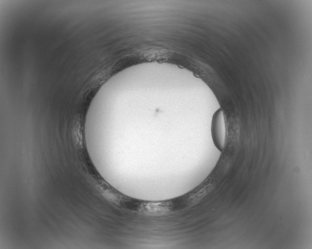 X0000054360622200508262316