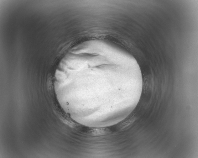 X0000054360623200508262316