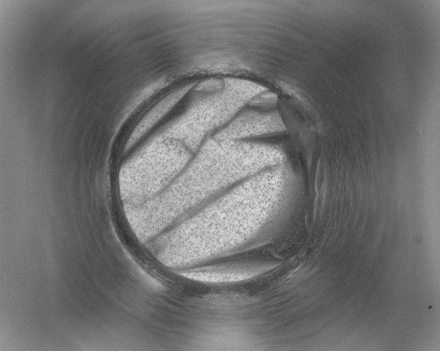 X0000054360630200508262315