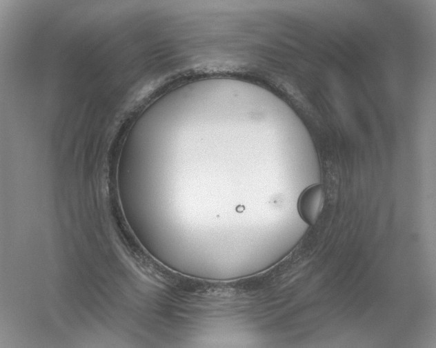X0000054360631200508262315