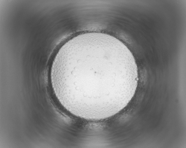 X0000054360632200508262316