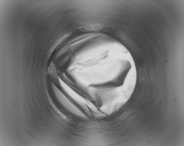 X0000054360634200508262316