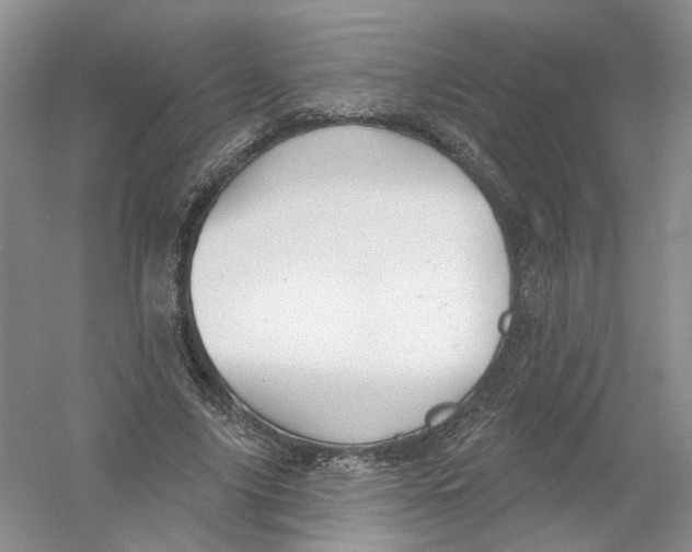 X0000054360635200508262316
