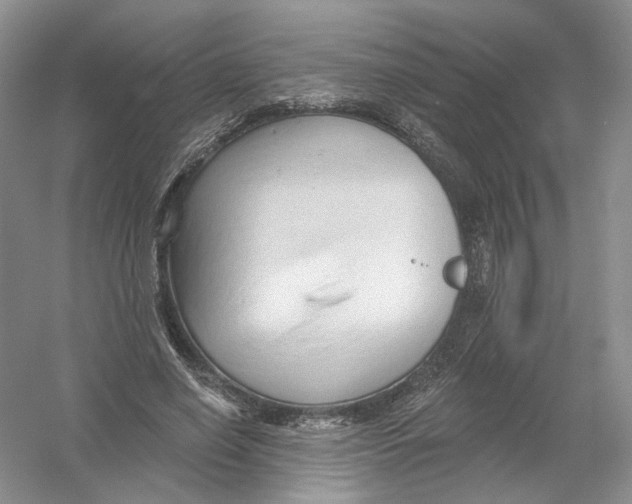 X0000054360638200508262316