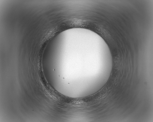 X0000054360642200508262316