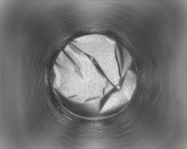 X0000054360643200508262316