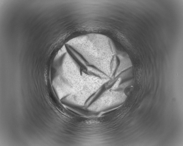X0000054360644200508262316
