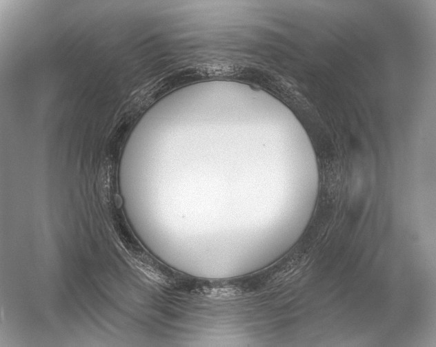 X0000054360645200508262316