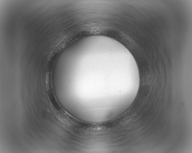 X0000054360646200508262316