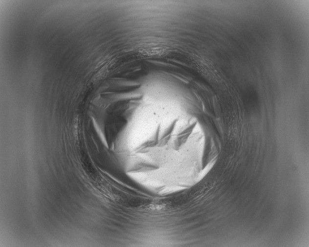 X0000054360647200508262316